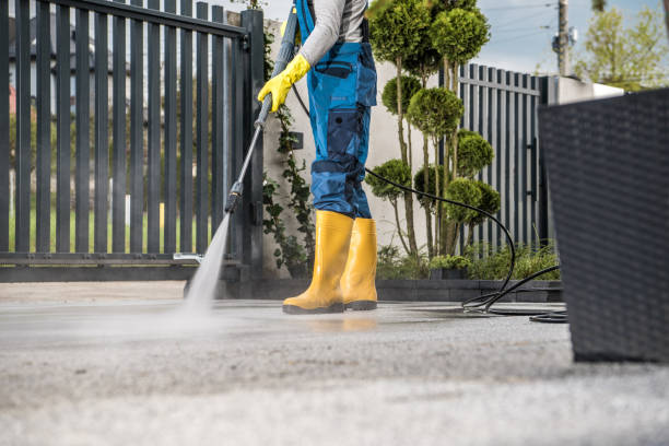 Best Driveway Cleaning and Restoration in Macdonnell Heights, NY